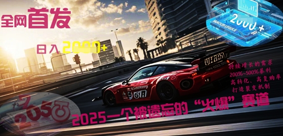 全网首发:2025一个被遗忘的“火爆”赛道轻松日入多张-金云网创
