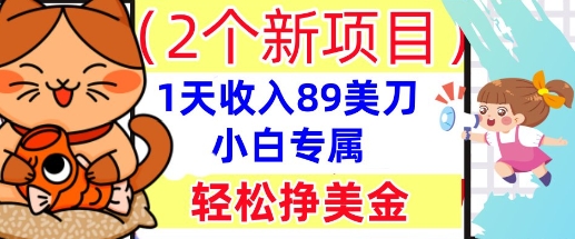 2个新项目,轻松挣美金, 1天收入89美刀,小白专属,干货分享-金云网创