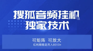 【搜狐音频挂G】独家技术,可矩阵可放大,红利期稳定月入8k【揭秘】-金云网创