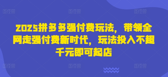 2025拼多多强付费玩法,带领全网走强付费新时代,玩法投入不超千元即可起店-金云网创