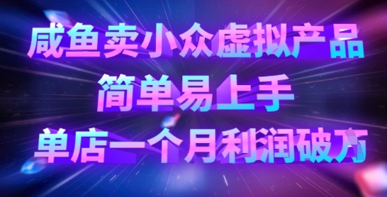 咸鱼卖小众虚拟产品,简单易上手,单店一个月利润破W-金云网创
